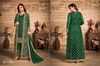 Vaani 14 Heavy Festive Wear Latest Designer Net Salwar Kameez Collection